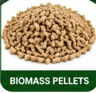 6mm / 8mm Premium Pellets